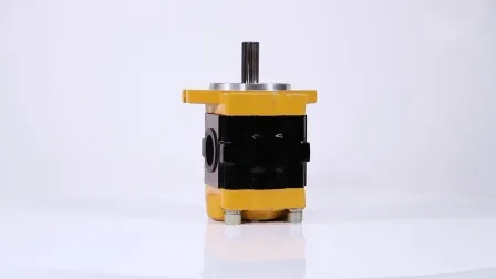 Hot Sale China Hydraulic Gear Pump Cbhv for Heli Forklift